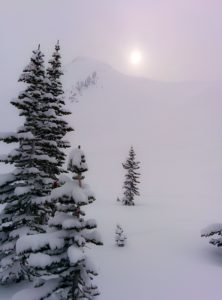 whistler background-1